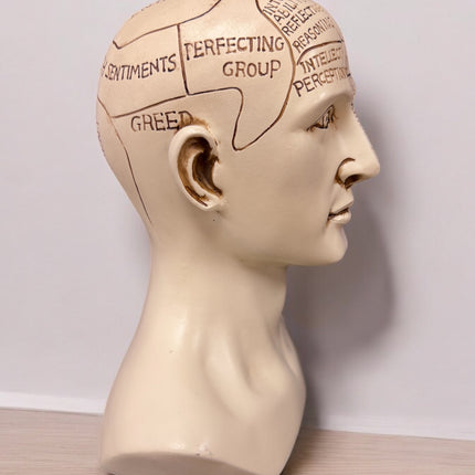 Phrenology_Head_Statue_Ravens_Cauldron_6_North_Sandusky_Street_Delaware_Ohio_43015