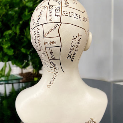 Phrenology_Head_Statue_Ravens_Cauldron_6_North_Sandusky_Street_Delaware_Ohio_43015