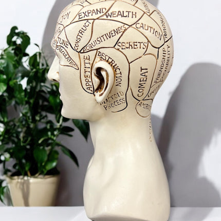 Phrenology_Head_Statue_Ravens_Cauldron_6_North_Sandusky_Street_Delaware_Ohio_43015