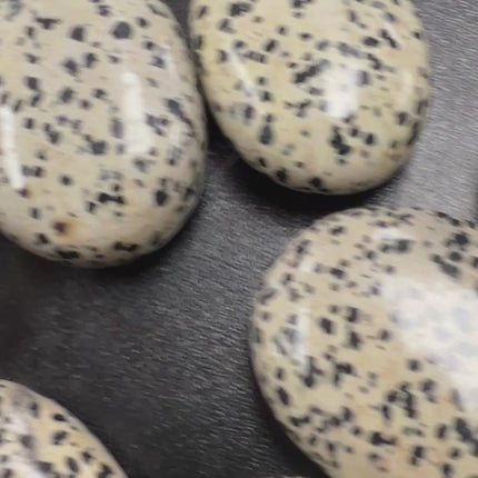 Dalmatian Jasper Palm Stone, Raven's Cauldron, 6 N Sandusky St, Delaware, OH 43015