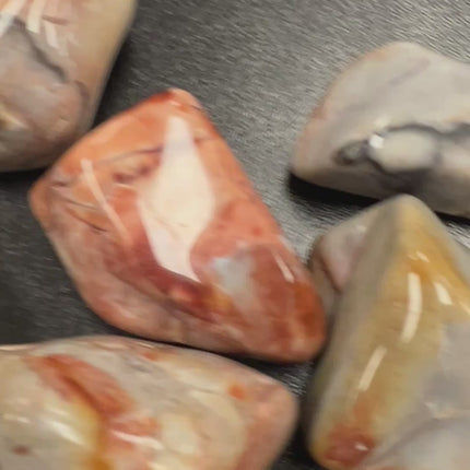 Flint Palm Stone, Raven's Cauldron, 6 N Sandusky St, Delaware, OH 43015