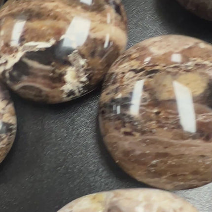 Black Opal Palm Stones Ravens_Cauldron_6_N Sandusky_St _Delaware_OH _43015