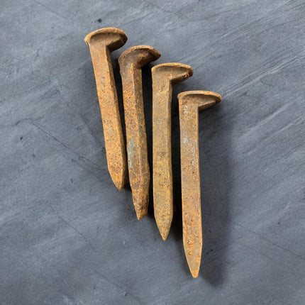 Locally sourced iron railroad spike for protection and grounding energy work Raven's Cauldron, Delaware, OH