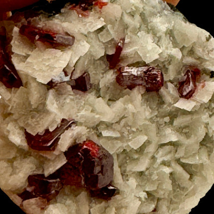 Rare Cinnabar Crystal on Dolomite Matrix - 33 Grams - Raven's Cauldron