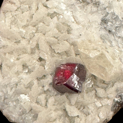 Rare Cinnabar Crystal on Dolomite Matrix - 40 Grams - Raven's Cauldron