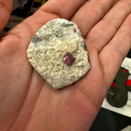 Rare Cinnabar Crystal on Dolomite Matrix - 40 Grams - Raven's Cauldron