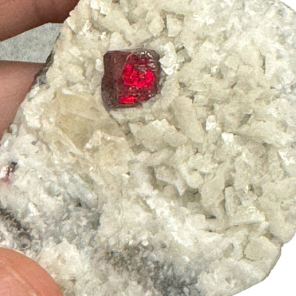 Rare Cinnabar Crystal on Dolomite Matrix - 40 Grams - Raven's Cauldron