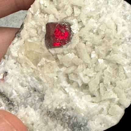 Rare Cinnabar Crystal on Dolomite Matrix - 40 Grams - Raven's Cauldron