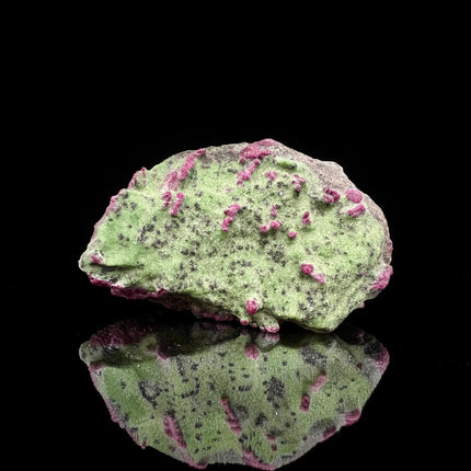 Collector's grade 2,230 gram Ruby in Zoisite featuring vibrant low-iron raw ruby crystal clusters within natural green zoisite matrix displayed as a one-of-a-kind mineral specimen.
