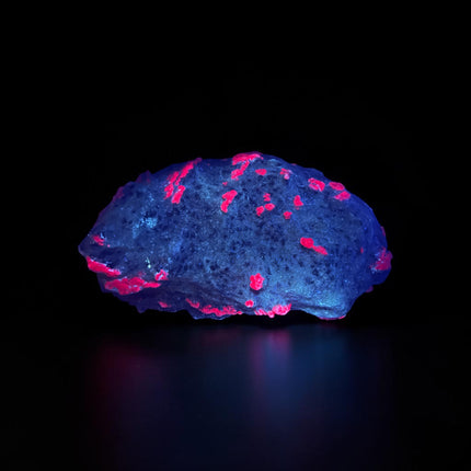 Collector's grade 2,230 gram Ruby in Zoisite featuring vibrant low-iron raw ruby crystal clusters within natural green zoisite matrix displayed as a one-of-a-kind mineral specimen.