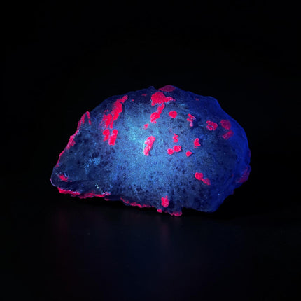 Collector's grade 2,230 gram Ruby in Zoisite featuring vibrant low-iron raw ruby crystal clusters within natural green zoisite matrix displayed as a one-of-a-kind mineral specimen.