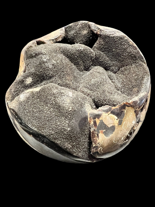 Septarian Dragon's Egg - Raven's Cauldron