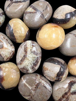 Septarian Palm Stones from Raven's Cauldron, 6 N Sandusky St, Delaware, OH 43015