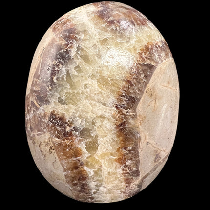Septarian Palm Stones from Raven's Cauldron, 6 N Sandusky St, Delaware, OH 43015