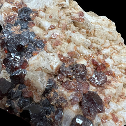 Natural Spessartine Garnet crystal specimen from Pakistan weighing 152 grams with vibrant orange garnet crystals, Raven's Cauldron, Delaware, OH.