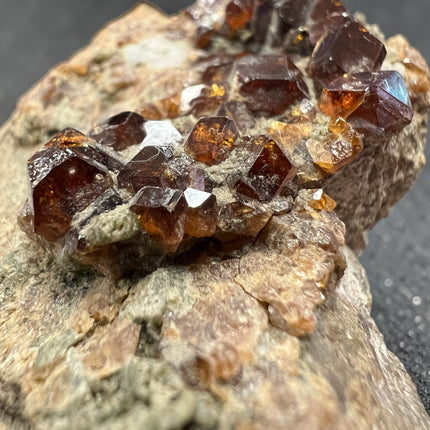 Natural Spessartine Garnet specimen on matrix featuring large crystal formations from Pakistan measuring 2.5 inches, Raven's Cauldron, Delaware, OH