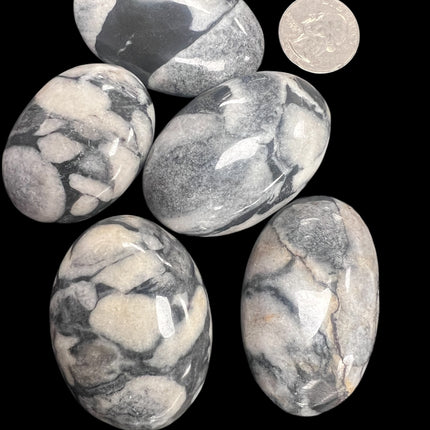 Shell Jasper Palm Stones from Raven's Cauldron, 6 N Sandusky St, Delaware, OH 43015