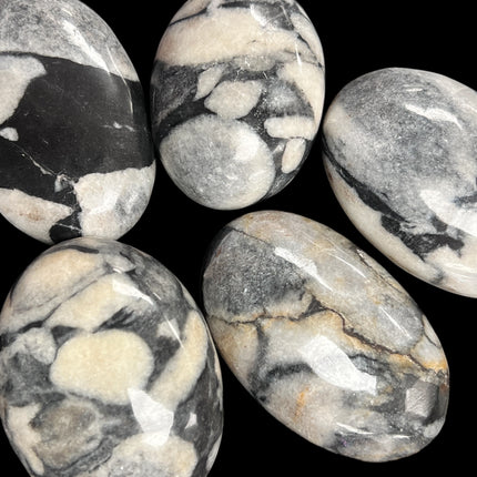 Shell Jasper Palm Stones from Raven's Cauldron, 6 N Sandusky St, Delaware, OH 43015