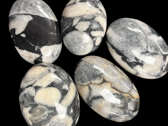 Shell Jasper Palm Stones from Raven's Cauldron, 6 N Sandusky St, Delaware, OH 43015