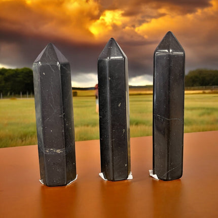 Shungite Tower - Faceted - Raven's Cauldron