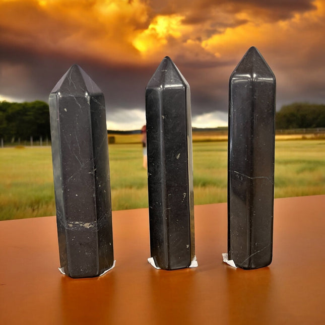 Shungite Tower - Faceted - Raven's Cauldron