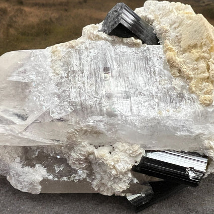 Smoky Quartz Lemurian Point with Schorl (Black Tourmaline) Crystals - 490 grams - Raven's Cauldron