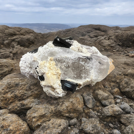 Smoky Quartz Lemurian Point with Schorl (Black Tourmaline) Crystals - 490 grams - Raven's Cauldron