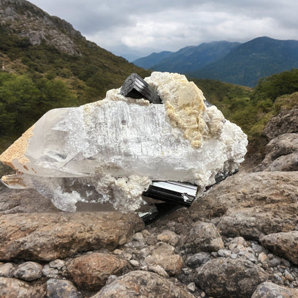 Smoky Quartz Lemurian Point with Schorl (Black Tourmaline) Crystals - 490 grams - Raven's Cauldron