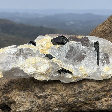 Smoky Quartz Lemurian Point with Schorl (Black Tourmaline) Crystals - 691 grams - Raven's Cauldron