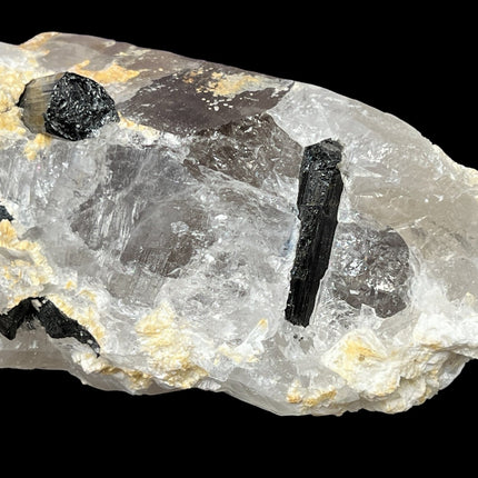 Smoky Quartz Lemurian Point with Schorl (Black Tourmaline) Crystals - 691 grams - Raven's Cauldron