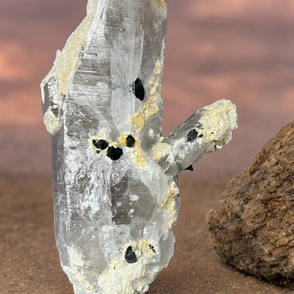 Smoky Quartz Lemurian Point with Schorl (Black Tourmaline) Crystals - 691 grams - Raven's Cauldron