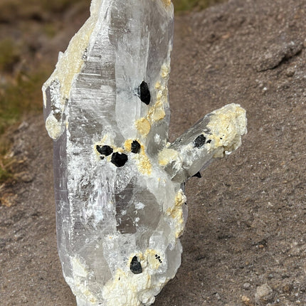 Smoky Quartz Lemurian Point with Schorl (Black Tourmaline) Crystals - 691 grams - Raven's Cauldron