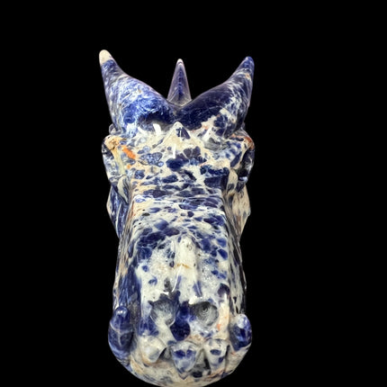 Sodalite Dragon Skull from Raven's Cauldron, 6 N Sandusky St, Delaware, OH 43015