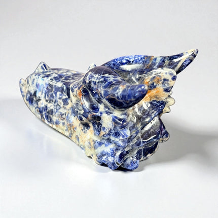 Sodalite Dragon Skull from Raven's Cauldron, 6 N Sandusky St, Delaware, OH 43015