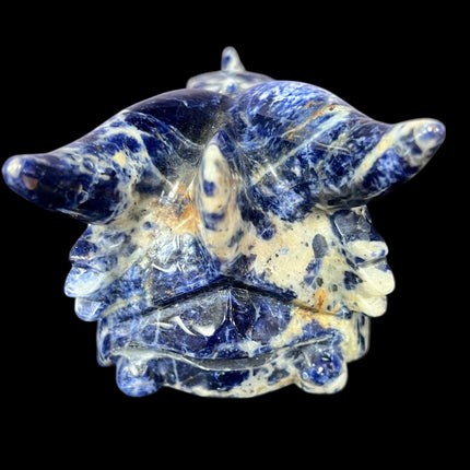 Sodalite Dragon Skull from Raven's Cauldron, 6 N Sandusky St, Delaware, OH 43015
