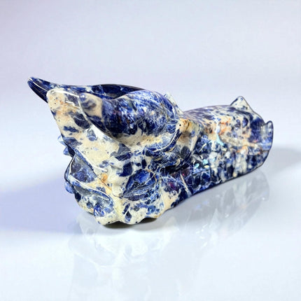Sodalite Dragon Skull from Raven's Cauldron, 6 N Sandusky St, Delaware, OH 43015