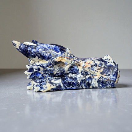 Sodalite Dragon Skull from Raven's Cauldron, 6 N Sandusky St, Delaware, OH 43015