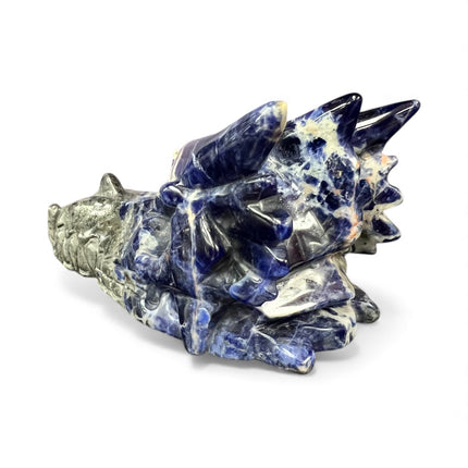 Sodalite Dragon Skull from Raven's Cauldron, 6 N Sandusky St, Delaware, OH 43015