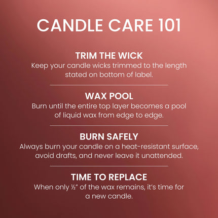 Yankee Candle® Small Tumbler – Sparkling Cinnamon | Holiday Cinnamon & Clove Soy Wax Candle