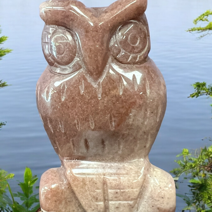 Gemstone_Owl_Carving_Ravens_Cauldron_6_North_Sandusky_Street_Delaware_Ohio_43015