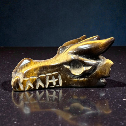 Tiger's Eye Dragon Head from the Raven's Cauldron, 6 N Sandusky St, Delaware, OH 43015