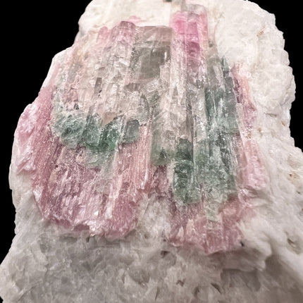 Watermelon Tourmaline in Matrix from Raven's Cauldron, 6 N Sandusky St, Delaware, OH 43015