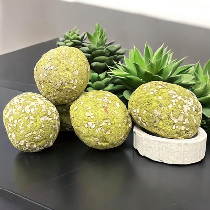 Soul Sticks White Sage Smudge Bomb Incense set with 5 white sage smudge bombs and 1 holder, perfect for cleansing negative energy, joy, excitement, and magical rituals, made in India, available at Raven’s Cauldron, 6 N Sandusky St, Delaware, OH 43015