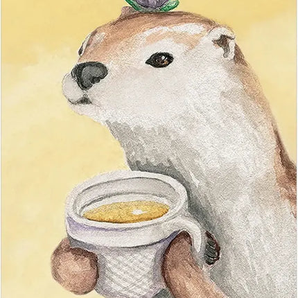 White Sage Tarot from the Raven's Cauldron, 6 N Sandusky St, Delaware, OH 43015