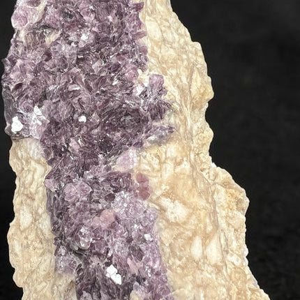 Large Watermelon Tourmaline crystal embedded in Lepidolite mica matrix specimen weighing 729 grams with pink, green, and purple coloration, Raven's Cauldron, Delaware, OH