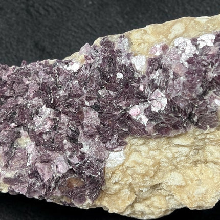 Large Watermelon Tourmaline crystal embedded in Lepidolite mica matrix specimen weighing 729 grams with pink, green, and purple coloration, Raven's Cauldron, Delaware, OH