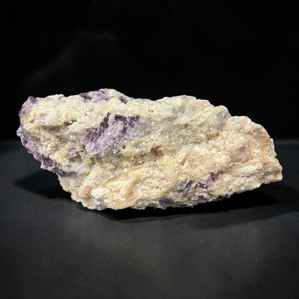 Large Watermelon Tourmaline crystal embedded in Lepidolite mica matrix specimen weighing 729 grams with pink, green, and purple coloration, Raven's Cauldron, Delaware, OH