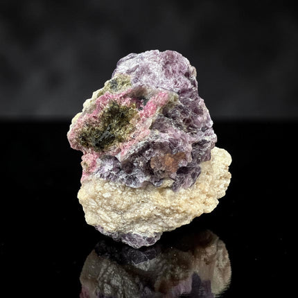 Large Watermelon Tourmaline crystal embedded in Lepidolite mica matrix specimen weighing 729 grams with pink, green, and purple coloration, Raven's Cauldron, Delaware, OH