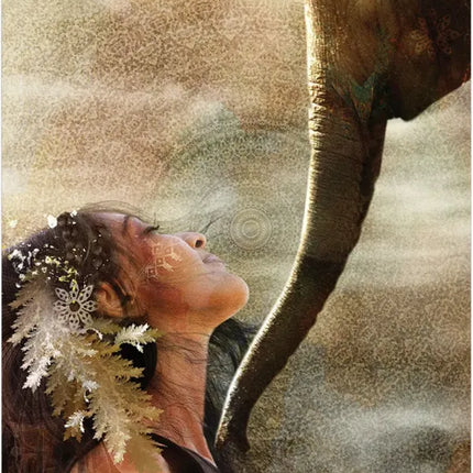 Wild Woman Rising Oracle Deck from Raven's Cauldron, 6 N Sandusky St, Delaware, OH 43015