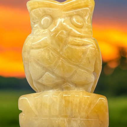 Gemstone_Owl_Carving_Ravens_Cauldron_6_North_Sandusky_Street_Delaware_Ohio_43015